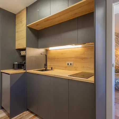 Apartment Duplex Templo Nevado Con 2 Parking Cubiertos Gratis
